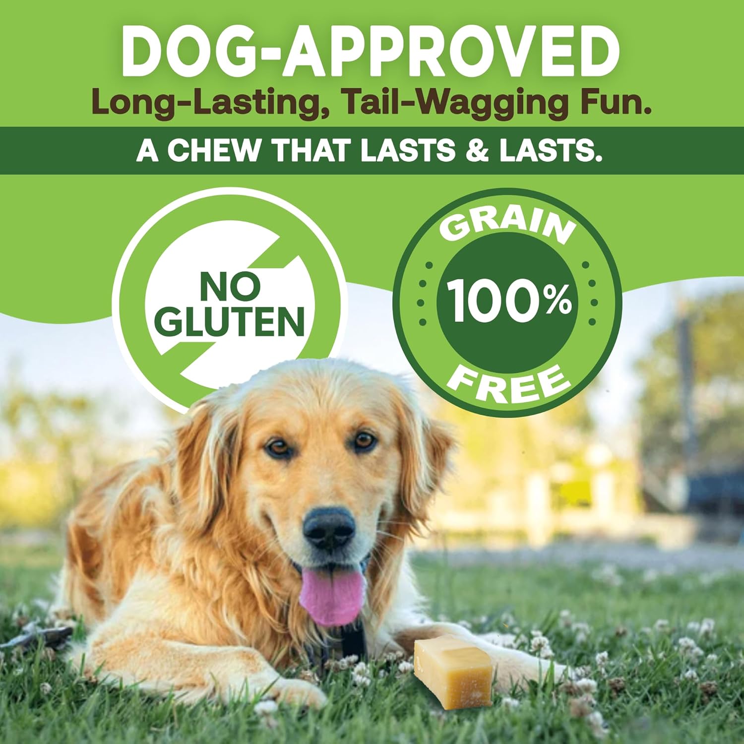 EcoKind Premium Gold Yak Cheese Himalayan Dog Chews for Large Breed, Aggressive Chewers, Natural, High Protein, 4 Chews (1 lb)