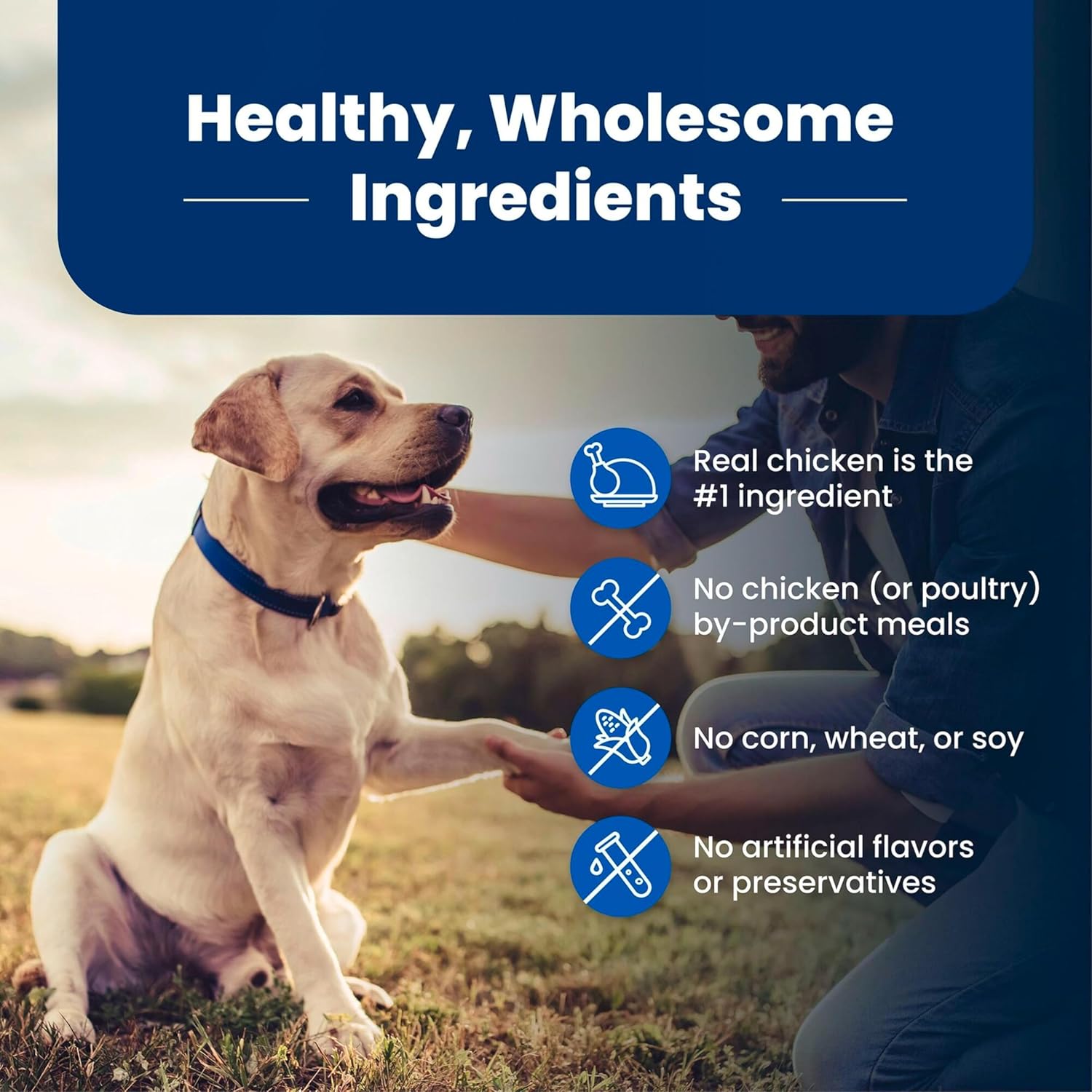 Blue Buffalo Life Protection Formula Senior Dry Dog Food - 5-lb Bag, Chicken & Brown Rice Recipe with Joint Health Support