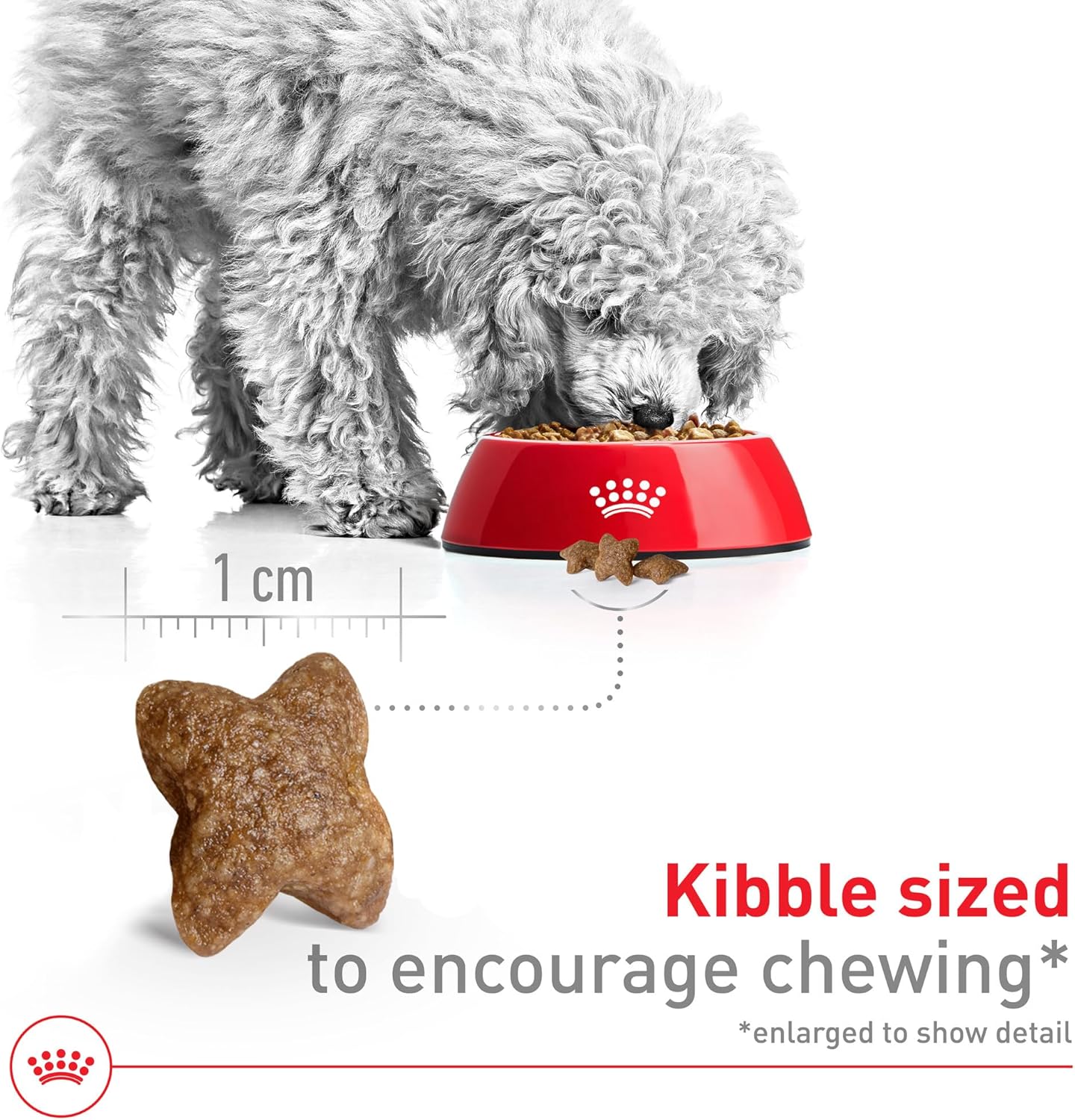 royal canin small adult dry dog food, 14 lb bag for small breed dogs aged 10 months to 8 years
