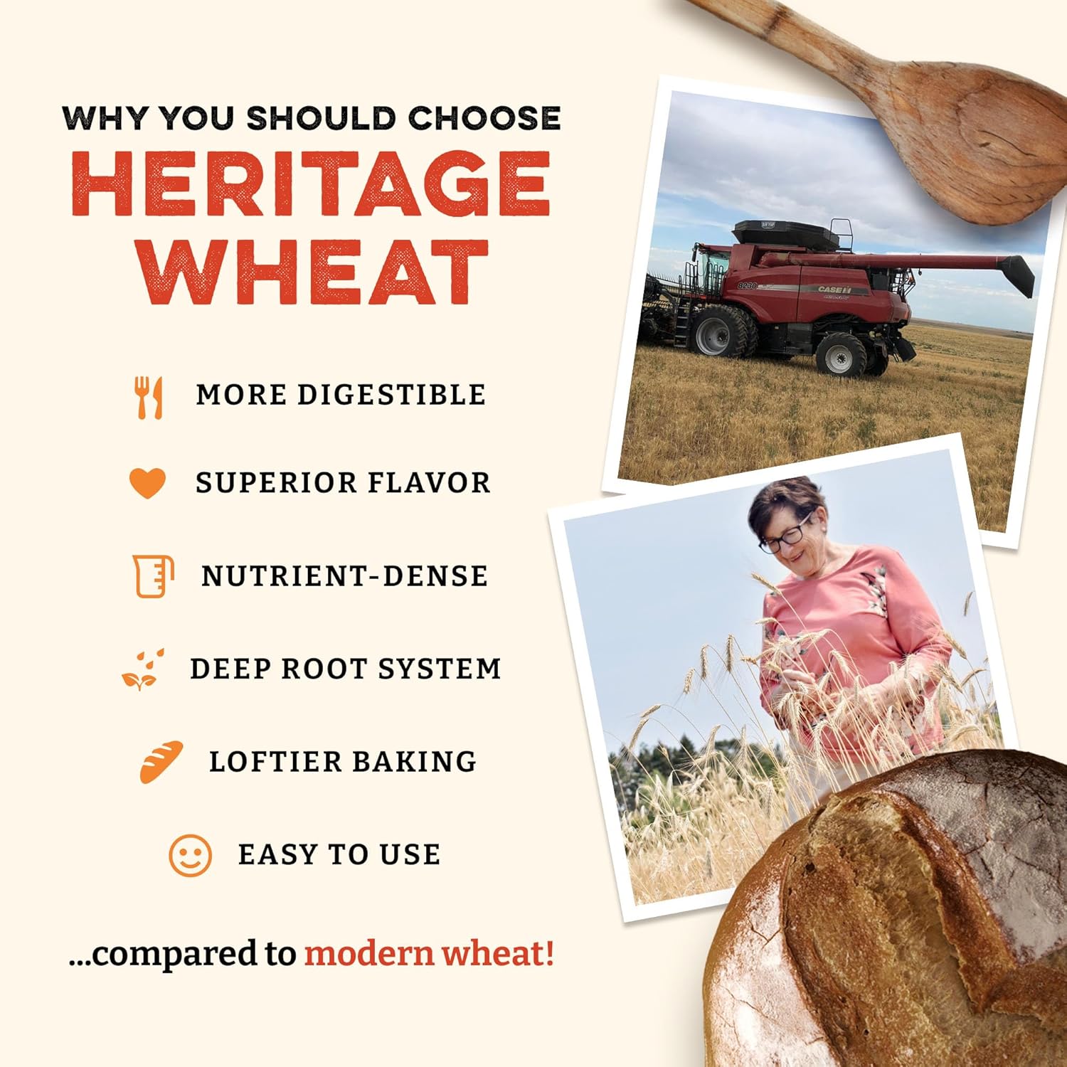 Sunrise Heritage Organic Whole Wheat Flour, 5 lbs, Red Hard Wheat, USDA Organic, No Bleaching, Easy Digestion