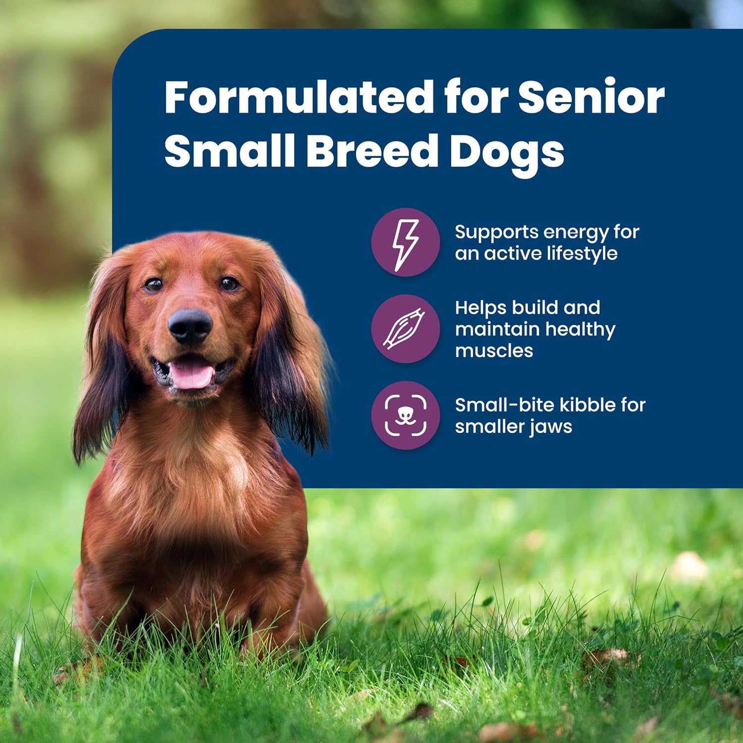 Blue Buffalo Life Protection Formula Small Breed Senior Dry Dog Food, 5-lb Bag, Chicken & Brown Rice Recipe, No Corn, Wheat, or Soy