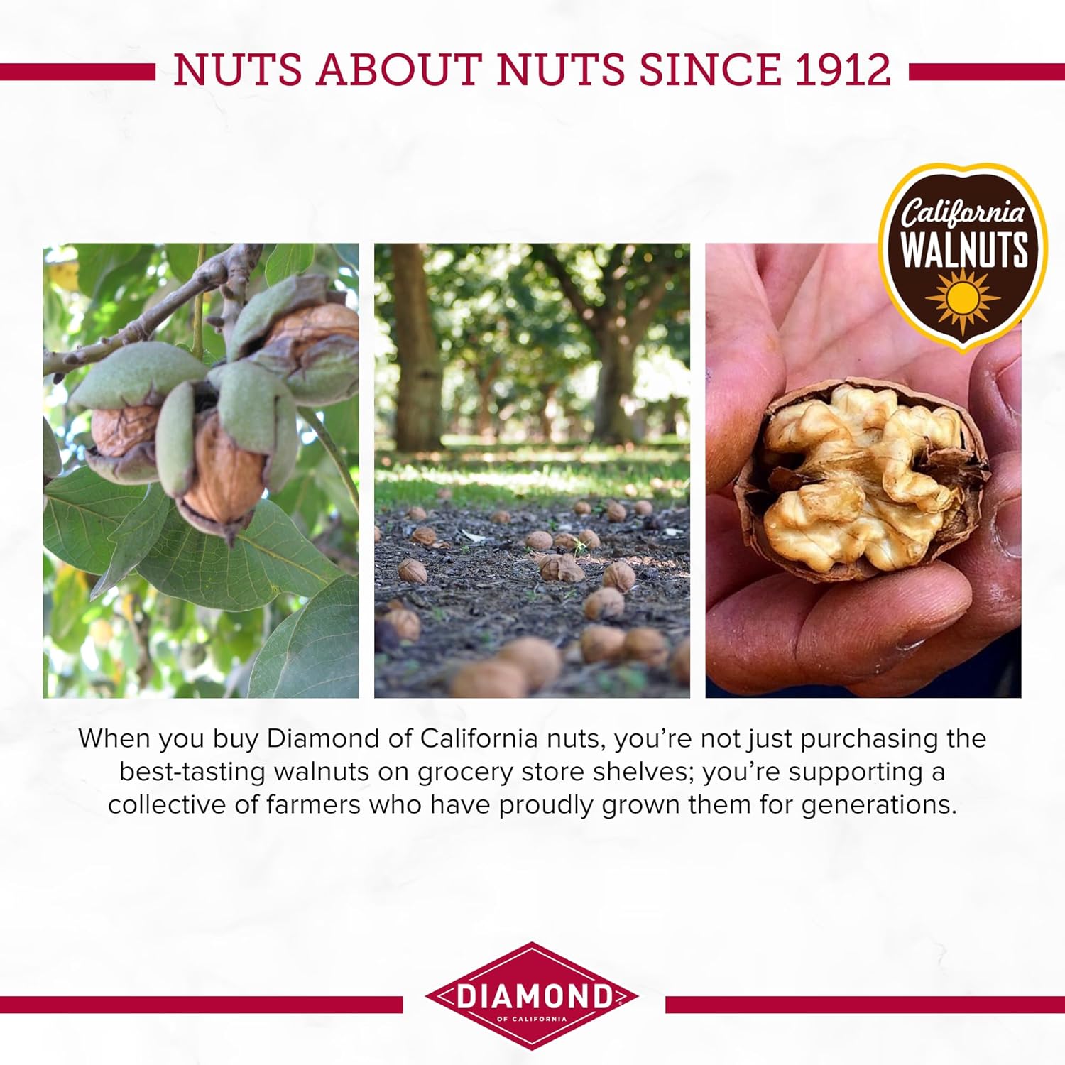 Diamond of California Shelled Walnut Halves and Pieces, pre-shelled raw walnuts for baking and snacking, 32 oz, unsalted and non-gmo