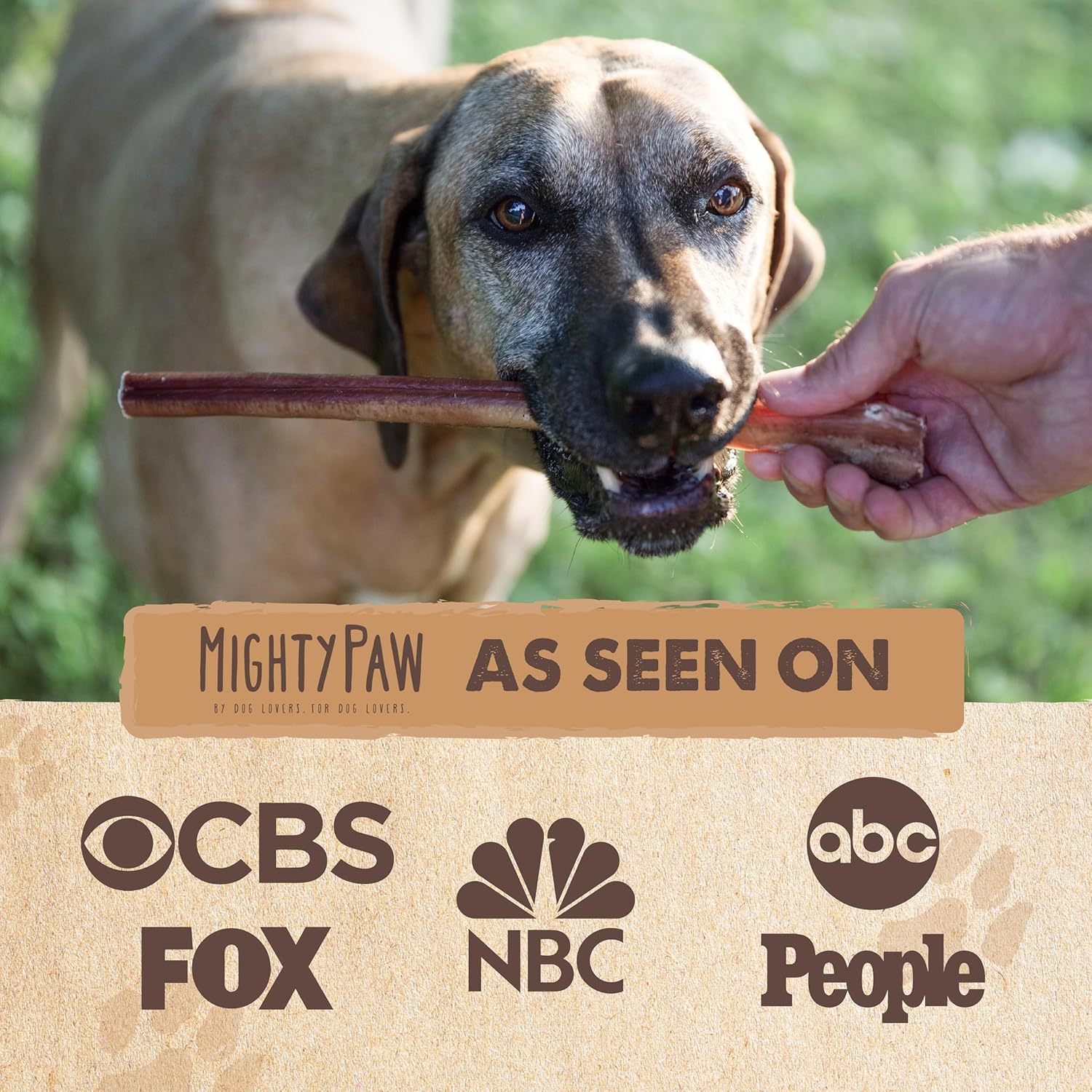 Mighty Paw 12" All Natural Grass Fed Beef Bully Sticks for Large Dogs and Small Breeds - Single Ingredient Treats