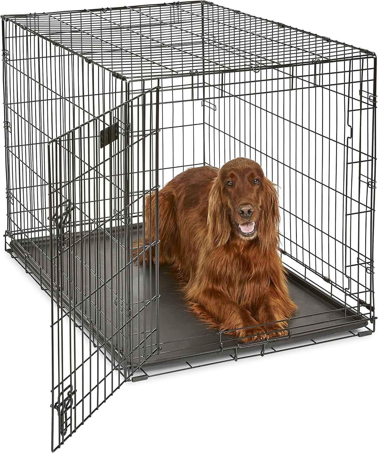 MidWest Homes for Pets 36-Inch iCrate Folding Dog Crate with Divider Panel, Leak-Proof Tray & Secure Latches – Metal Wire Kennel for Medium Large Breeds – Portable, Durable & Easy to Assemble