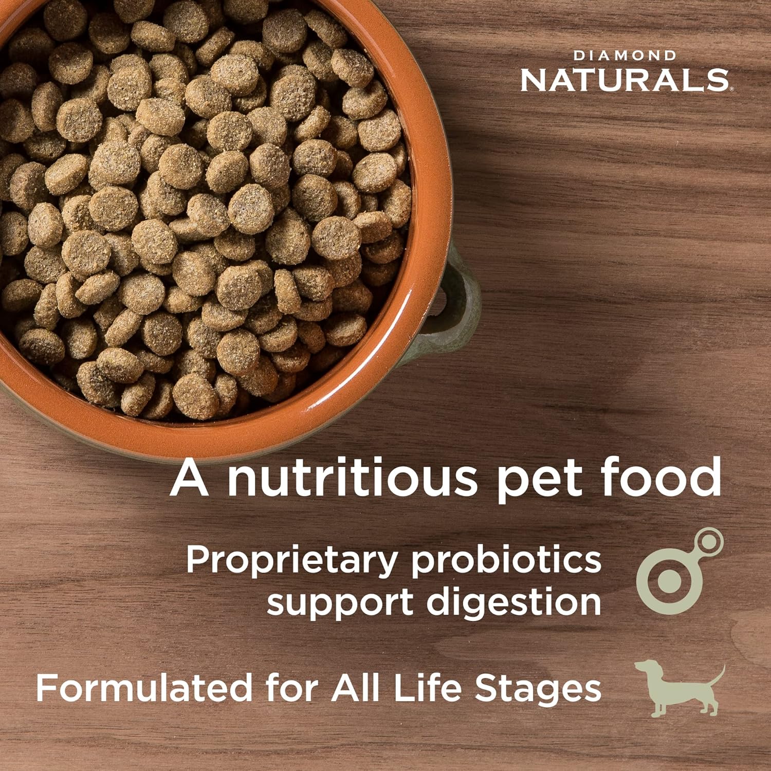 Diamond Naturals Skin and Coat All Life Stages Salmon and Potato dry dog food 30 pound pack