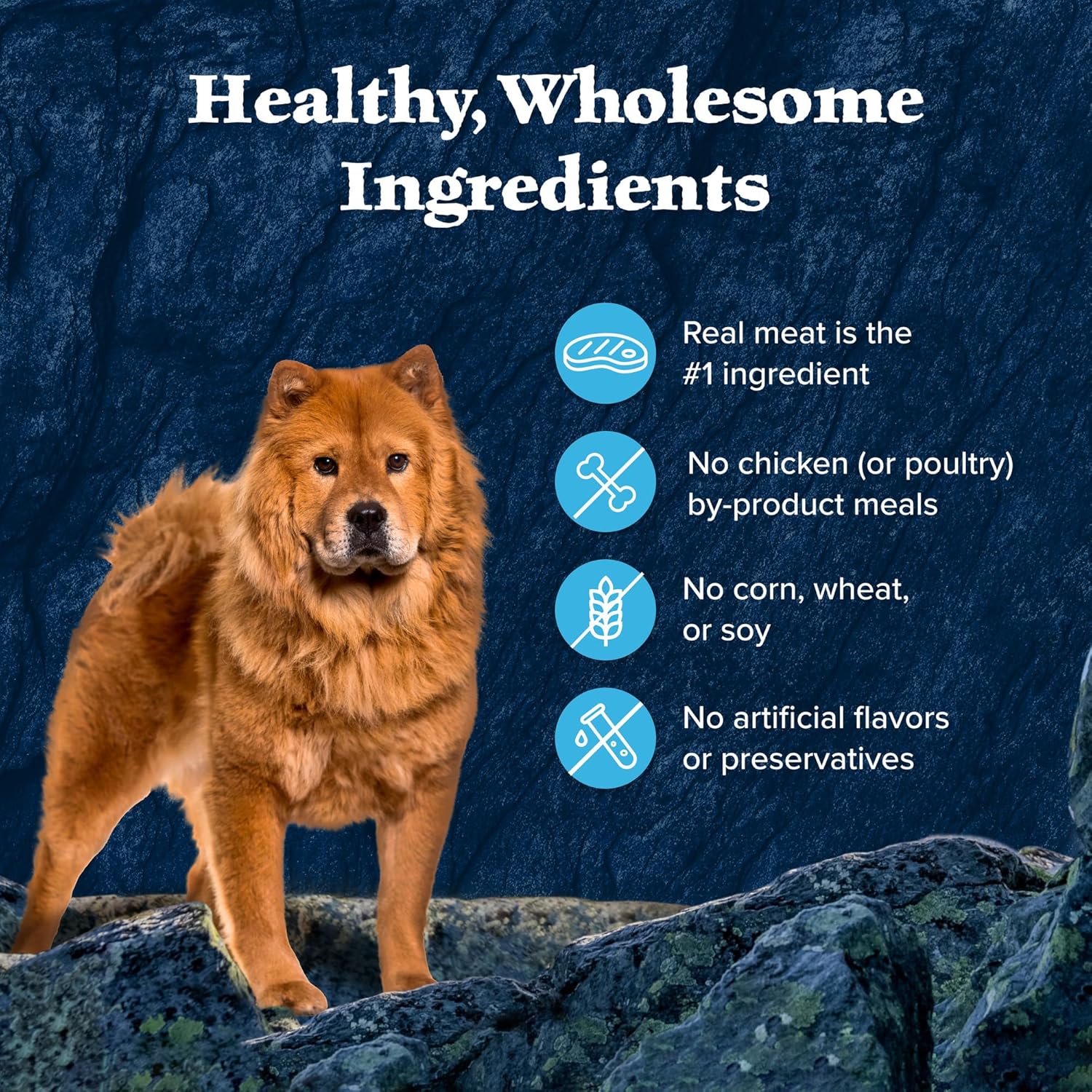 blue buffalo wilderness trail toppers wild cuts wet dog food variety pack, high-protein & grain-free, 12 count, 6 chicken and 6 beef flavors