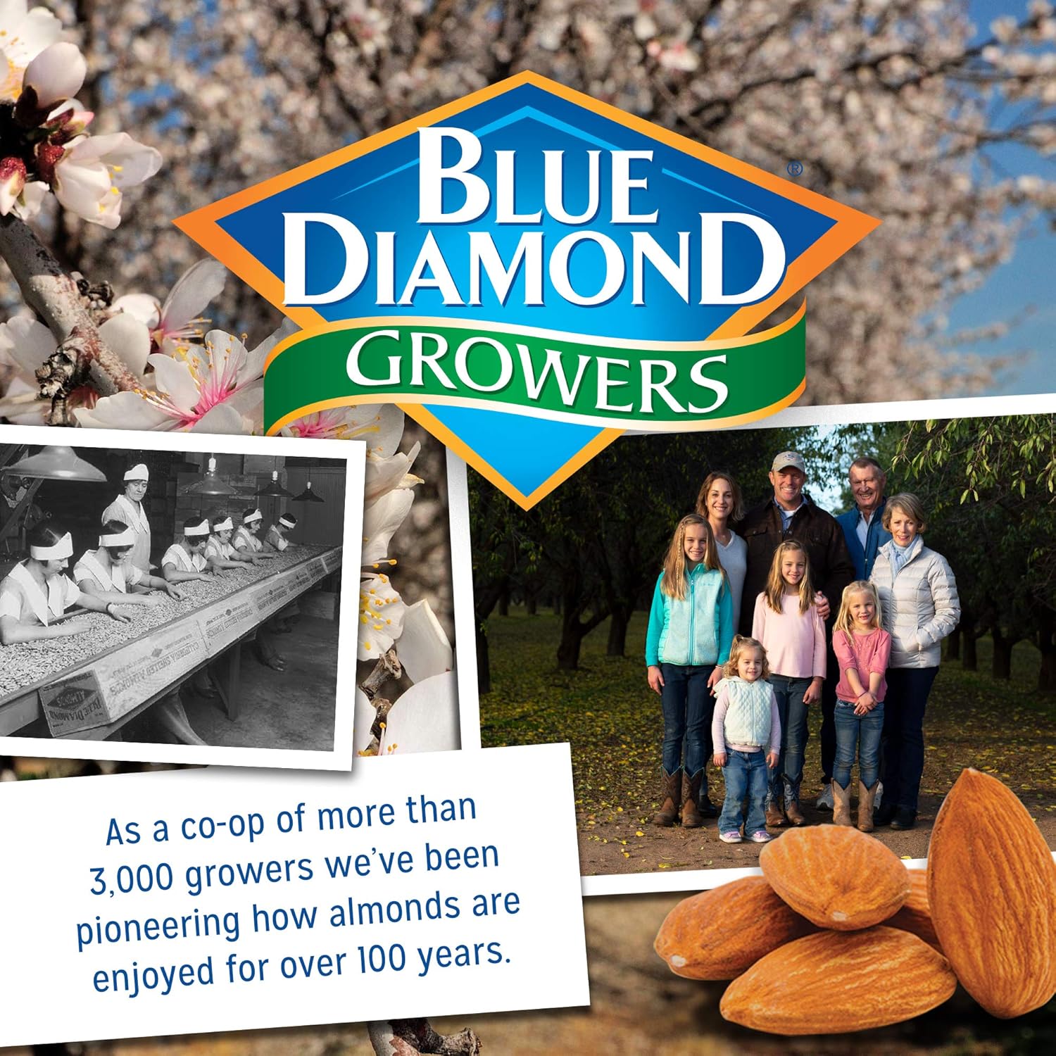 blue diamond lightly salted almonds, 16 oz resealable bag, low sodium snack nuts