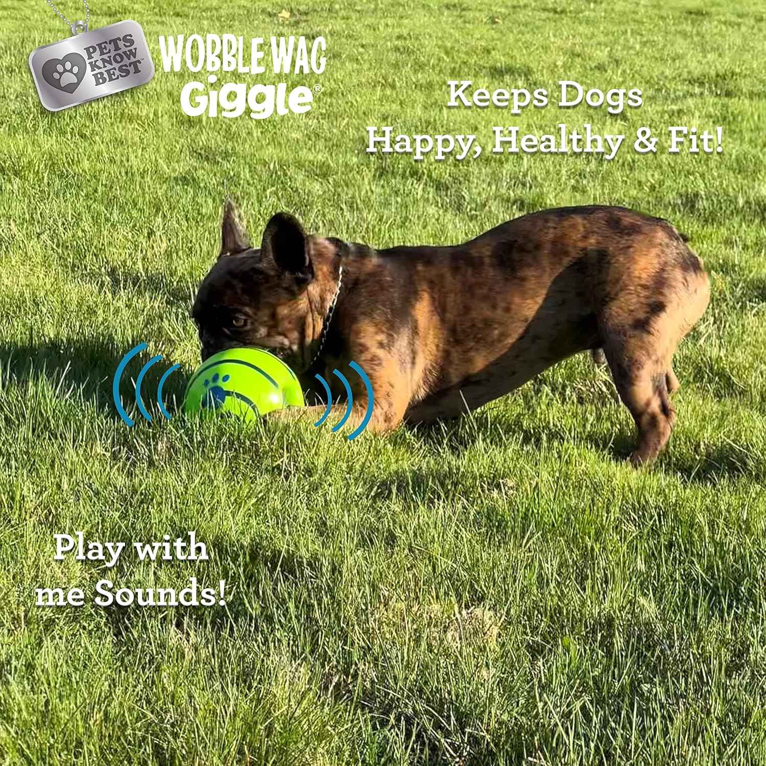 Wobble Wag Giggle Ball | Rolling Enrichment Toy for Fun Playtime, Interactive Play for Indoor or Outdoor, Keeps Dogs & Puppies Large, Medium or Small Busy & Moving, As Seen on TV | Pack of 1